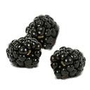 Black Raspberries