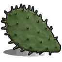 Cactus Flesh
