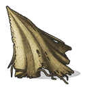 Cloth