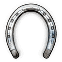 High Quality Horse Shoes