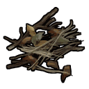 Plant Fiber