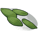 Hemp Seed