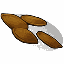 Pumpkin Seed