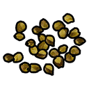 Yellow Berry Seed