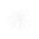 Spider Webs